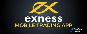 Comprehensive Guide to Exness Forex Broker